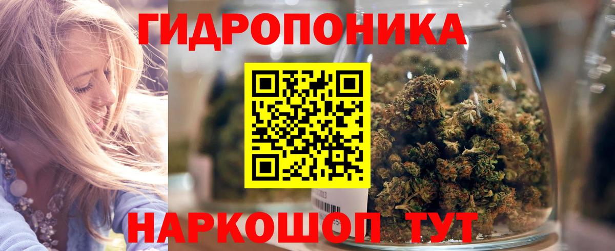 Марихуана Amnesia Новый Уренгой